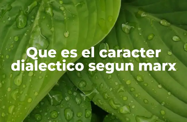 Que es el Caracter Dialectico Segun Marx 2 La dialéctica como método de análisis social