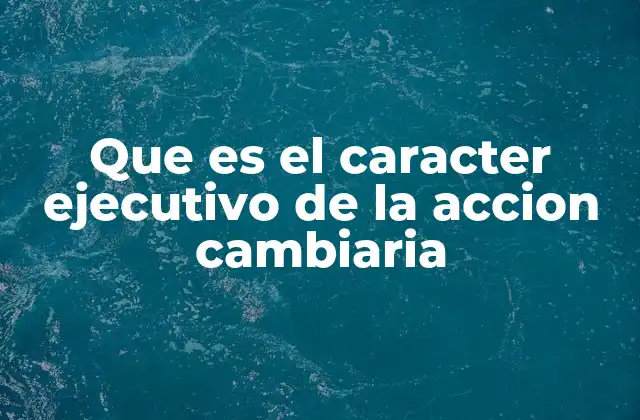 Que es el Caracter Ejecutivo de la Accion Cambiaria