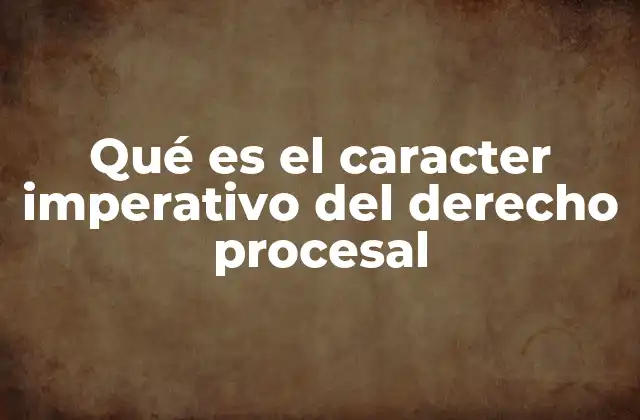 Qué es el Caracter Imperativo Del Derecho Procesal