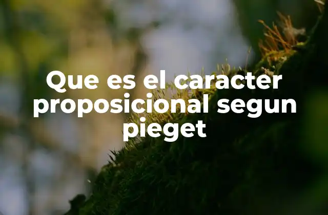Que es el Caracter Proposicional Segun Pieget