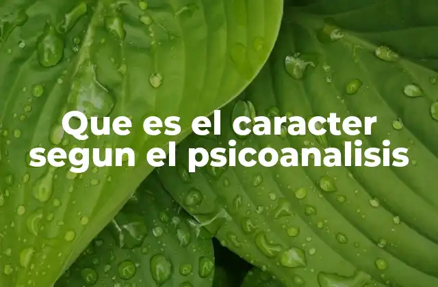 El carácter como expresión de la psique