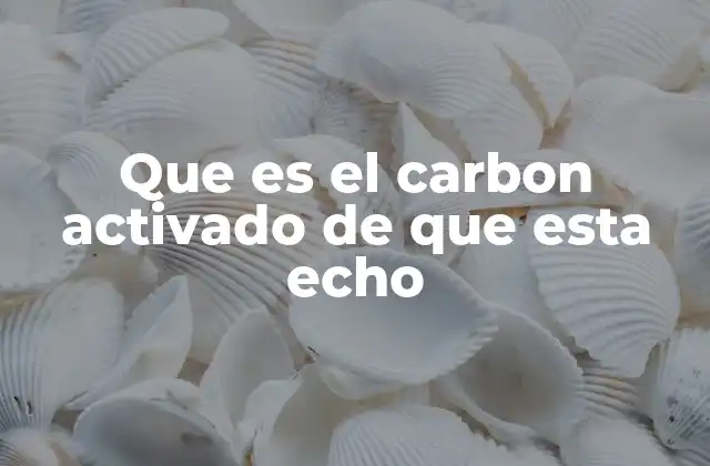 Que es el Carbon Activado de que Esta Echo 2 Origen y producción del carbón activado
