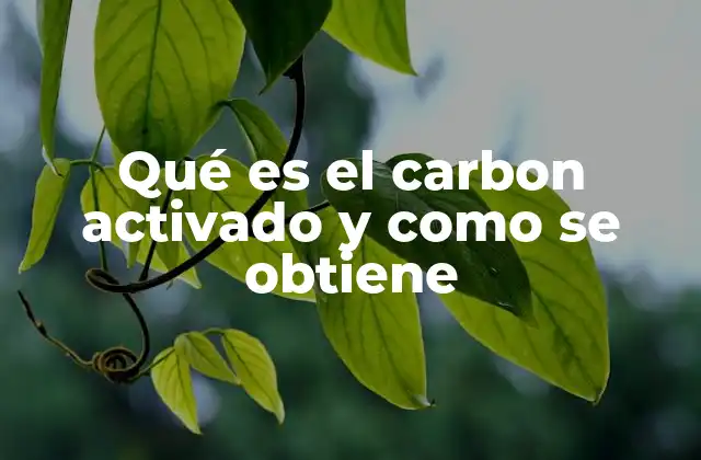 Qué es el Carbon Activado y como Se Obtiene