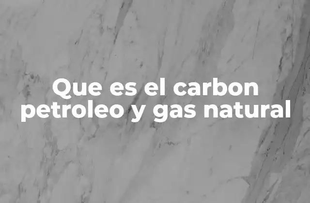 Que es el Carbon Petroleo y Gas Natural