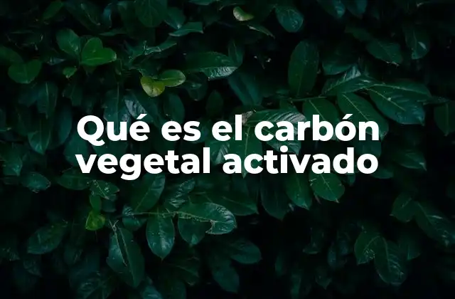 Qué es el Carbón Vegetal Activado 2 La ciencia detrás del carbón vegetal activado
