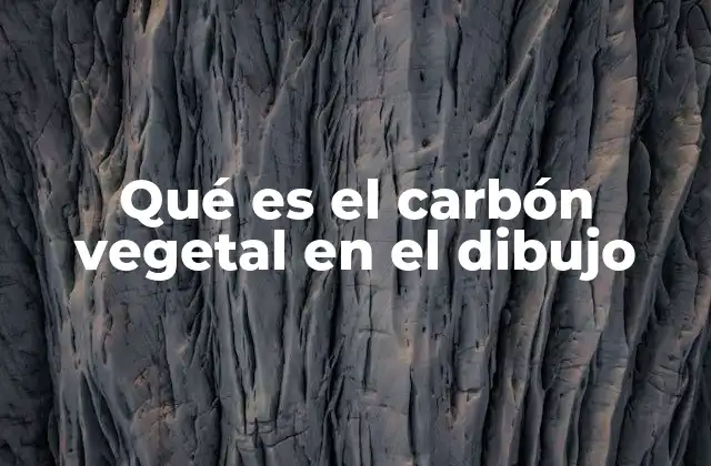 Qué es el Carbón Vegetal en el Dibujo