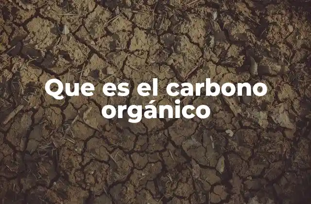 Que es el Carbono Orgánico