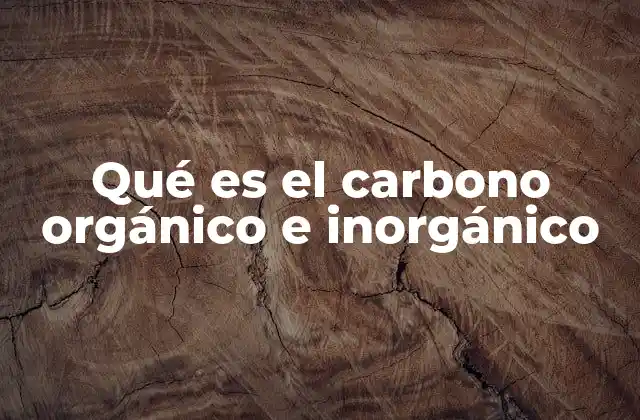 Qué es el Carbono Orgánico e Inorgánico