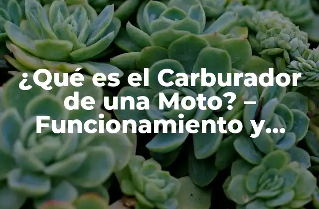 ¿qué es el Carburador de una Moto? – Funcionamiento y Componentes