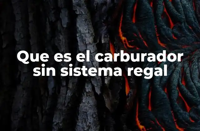 Que es el Carburador sin Sistema Regal