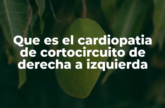 Que es el Cardiopatia de Cortocircuito de Derecha a Izquierda