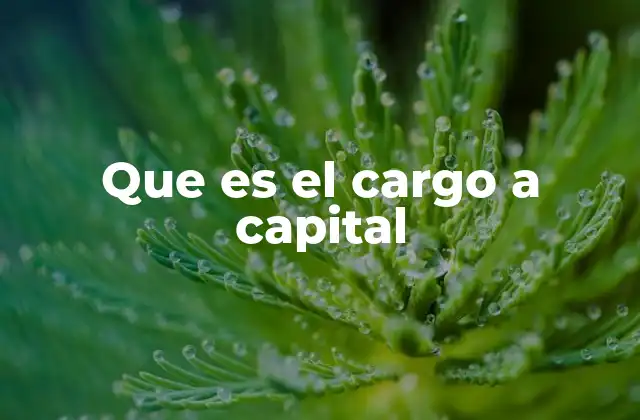Que es el Cargo a Capital