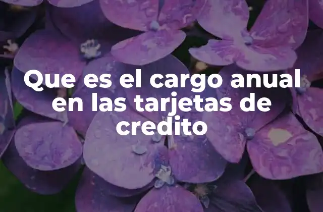 Que es el Cargo Anual en las Tarjetas de Credito 2 Entendiendo cómo funciona el cargo anual en las tarjetas de crédito
