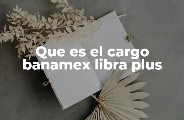 Que es el Cargo Banamex Libra Plus