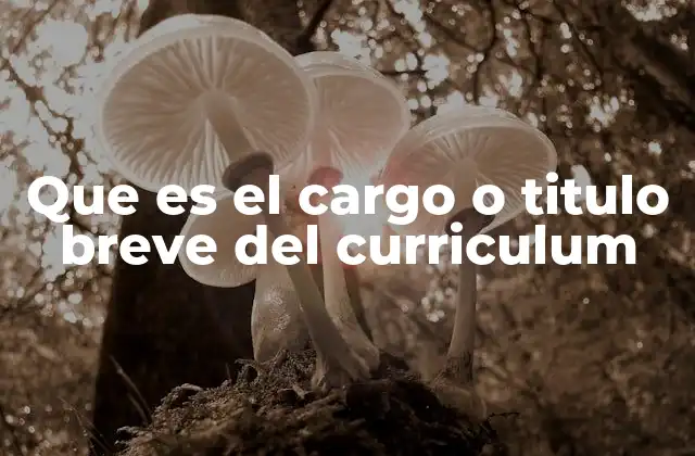 Que es el Cargo o Titulo Breve Del Curriculum