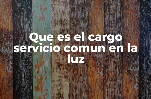 Que es el Cargo Servicio Comun en la Luz