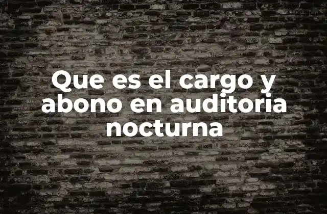 Que es el Cargo y Abono en Auditoria Nocturna