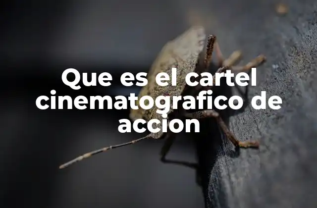 Que es el Cartel Cinematografico de Accion
