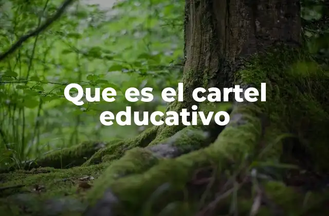 Que es el Cartel Educativo