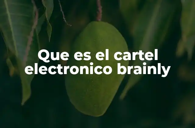 Que es el Cartel Electronico Brainly
