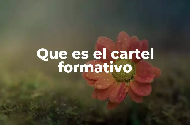 Que es el Cartel Formativo