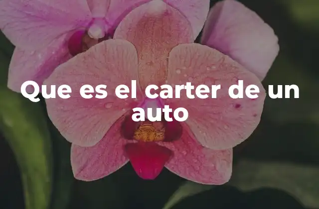 Que es el Carter de un Auto