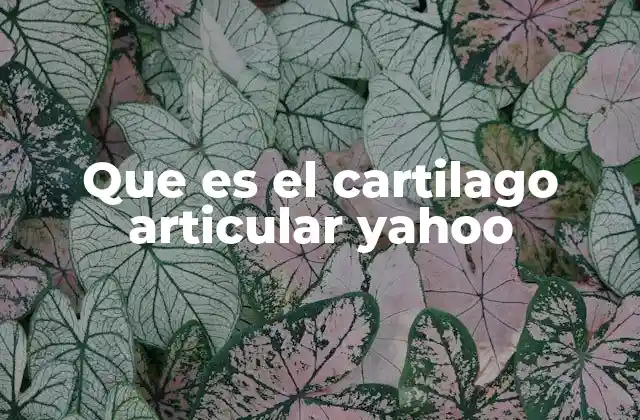 Que es el Cartilago Articular Yahoo
