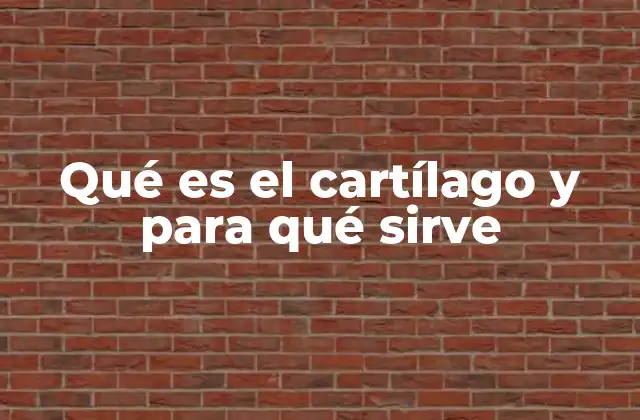 Qué es el Cartílago y para Qué Sirve