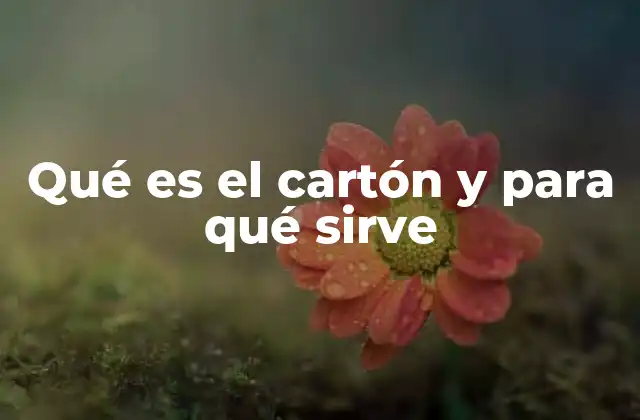 Qué es el Cartón y para Qué Sirve