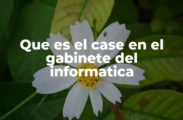 Que es el Case en el Gabinete Del Informatica