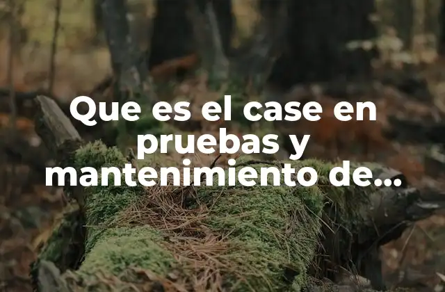 Que es el Case en Pruebas y Mantenimiento de Sistemas 2 La importancia de los casos de prueba en el ciclo de desarrollo