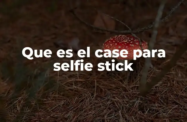 Que es el Case para Selfie Stick