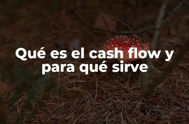 Qué es el Cash Flow y para Qué Sirve