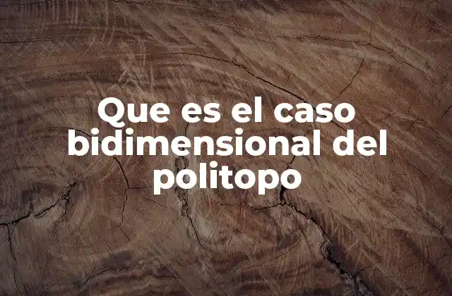 Que es el Caso Bidimensional Del Politopo