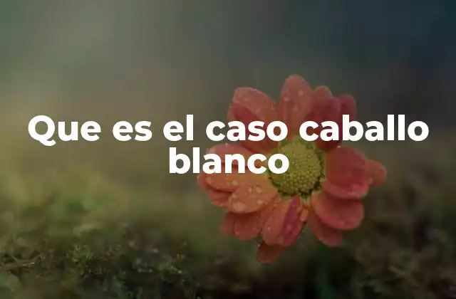 Que es el Caso Caballo Blanco 2 El impacto del Caso Caballo Blanco en la sociedad mexicana