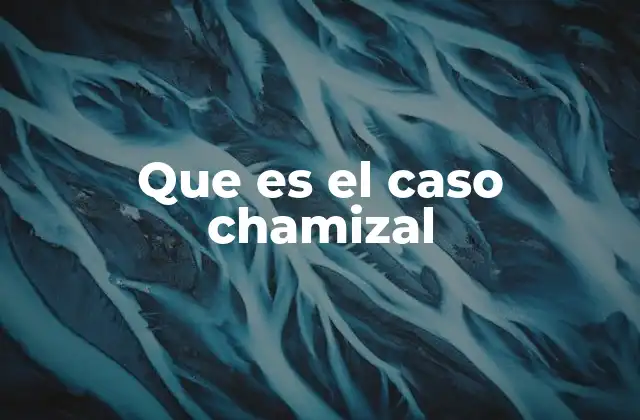 Que es el Caso Chamizal
