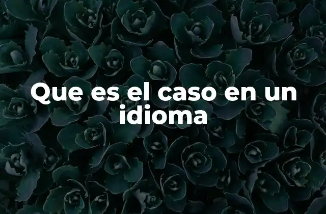 Que es el Caso en un Idioma