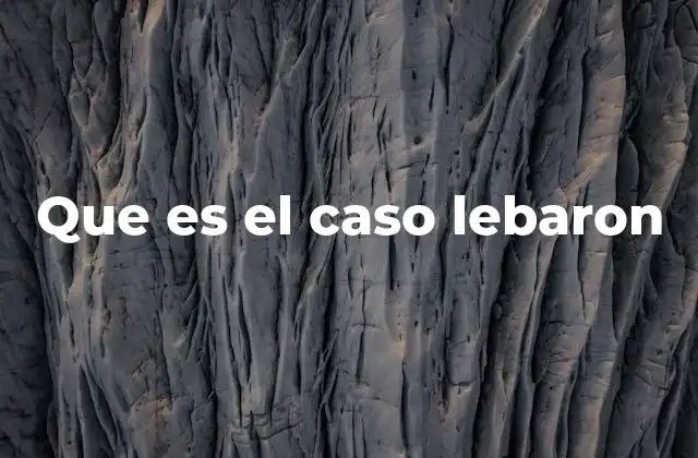 Que es el Caso Lebaron