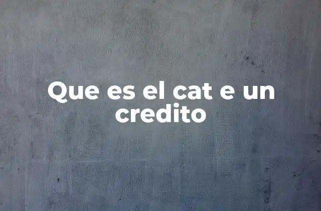 El impacto del CAT en la toma de decisiones financieras