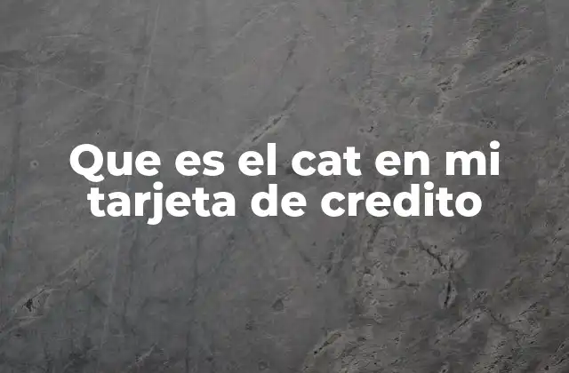 Que es el Cat en Mi Tarjeta de Credito
