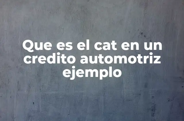Que es el Cat en un Credito Automotriz Ejemplo