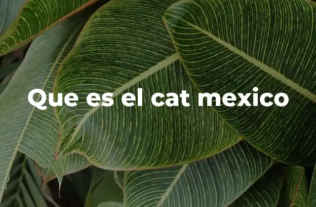 Que es el Cat Mexico
