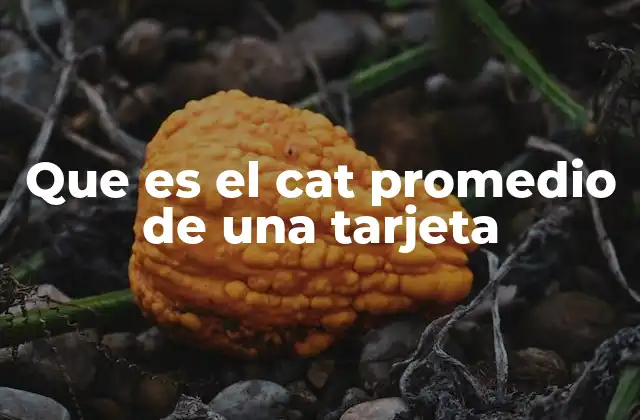 Que es el Cat Promedio de una Tarjeta