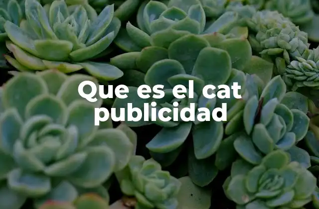 Que es el Cat Publicidad
