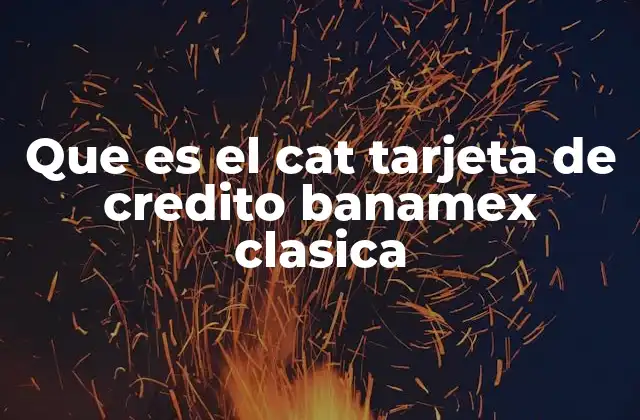 Que es el Cat Tarjeta de Credito Banamex Clasica