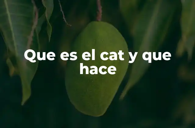 Que es el Cat y que Hace