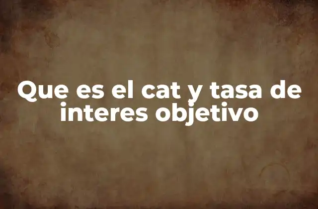 El impacto del CAT y la tasa de interés en el sistema financiero
