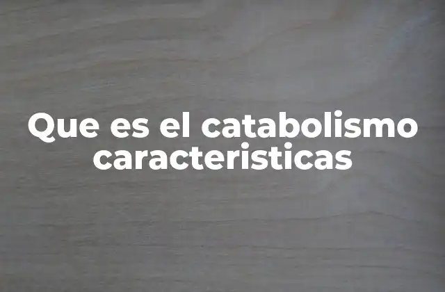 La importancia del catabolismo en el funcionamiento celular