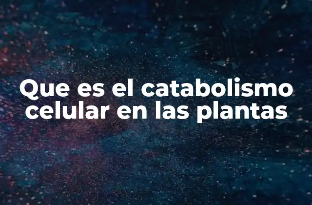 El catabolismo como motor energético de la vida vegetal