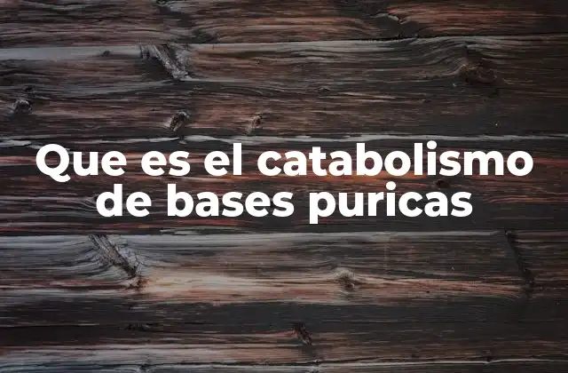 Que es el Catabolismo de Bases Puricas